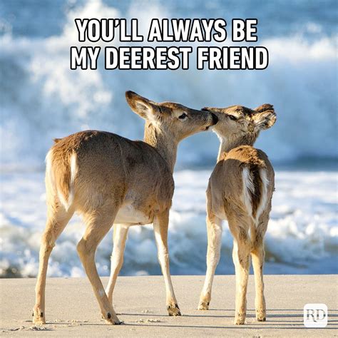 funny pics to send to friends|funny friendship memes.